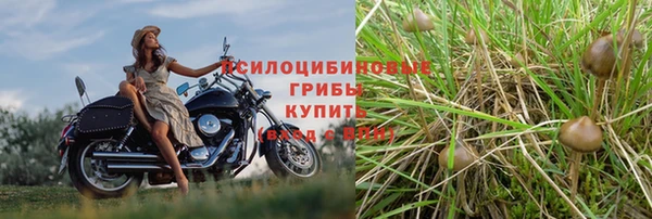 гидра Абинск