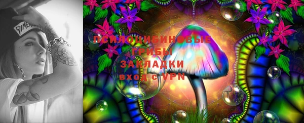 гидра Абинск