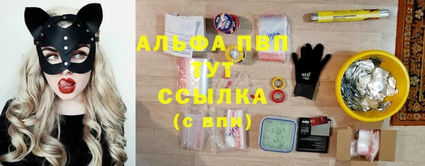 спиды Абаза