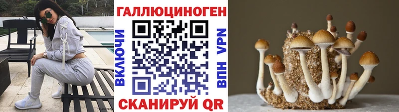магазин продажи наркотиков Отрадное это официальный сайт Галлюциногенные грибы мицелий